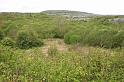 Scrub habitat