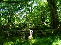 Wooded pavements
