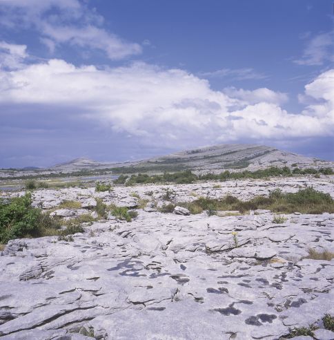 The Burren, Ireland