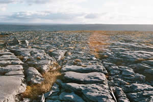 Clints and Grikes, the Burren