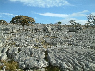 Bare pavement, Holme Park Fell
