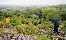 Work carried out at Hutton Roof to remove invasive scrub