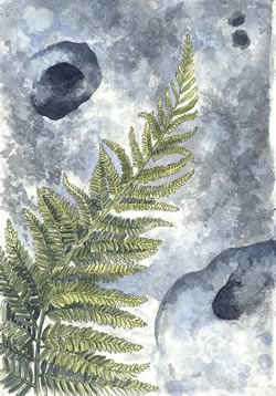 Limestome Pavement Action Group logo